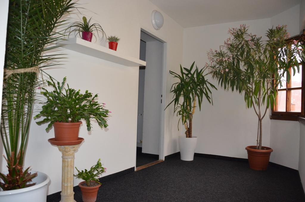Guesthouse Zlaty Hrozen Česká Lípa Bagian luar foto