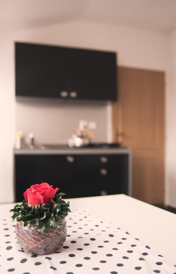 Guesthouse Zlaty Hrozen Česká Lípa Bagian luar foto